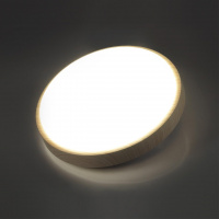 Светильник светодиодный настенно-потолочный Sonex LOSTA 7607/EL
