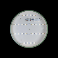 Потолочный светодиодный светильник Loft IT Axel 10002/24  green