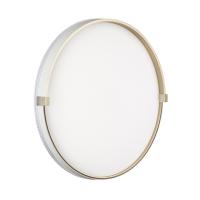 Светильник настенно-потолочный светодиодный Sonex OLIDI WHITE 7646/ELN