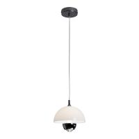 Светильник подвесной светодиодный Lussole Покипси LSP-7524