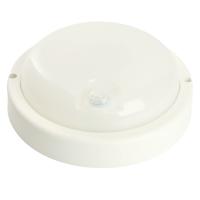 Уличный потолочный светодиодный светильник Feron AL3006 48995