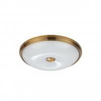 Настенно-потолочный светильник Odeon Light Pelow 4956/4