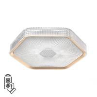 Светильник потолочный светодиодный Sonex SPARKS 7746/48L