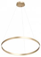 Светильник подвесной светодиодный Denkirs RAYDIA DK6272-SG