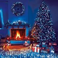 Гирлянда Eurosvet 400-001 400-001 голубой 5м IP20 a044249