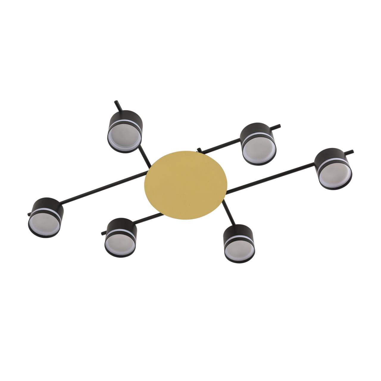 Светильник потолочный Lumion BENUA 8304/6C Светильник потолочный Lumion BENUA 8304/6C