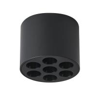 Светильник потолочный светодиодный Lightstar Guarda 080647