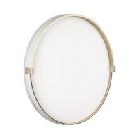 Светильник настенно-потолочный светодиодный Sonex OLIDI WHITE 7646/DL