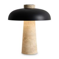 Настольная лампа светодиодная Freya Sunspot FR5482TL-L7B