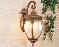 Уличный настенный светильник Elektrostandard Andromeda D GLYF-8024D черное золото a027996