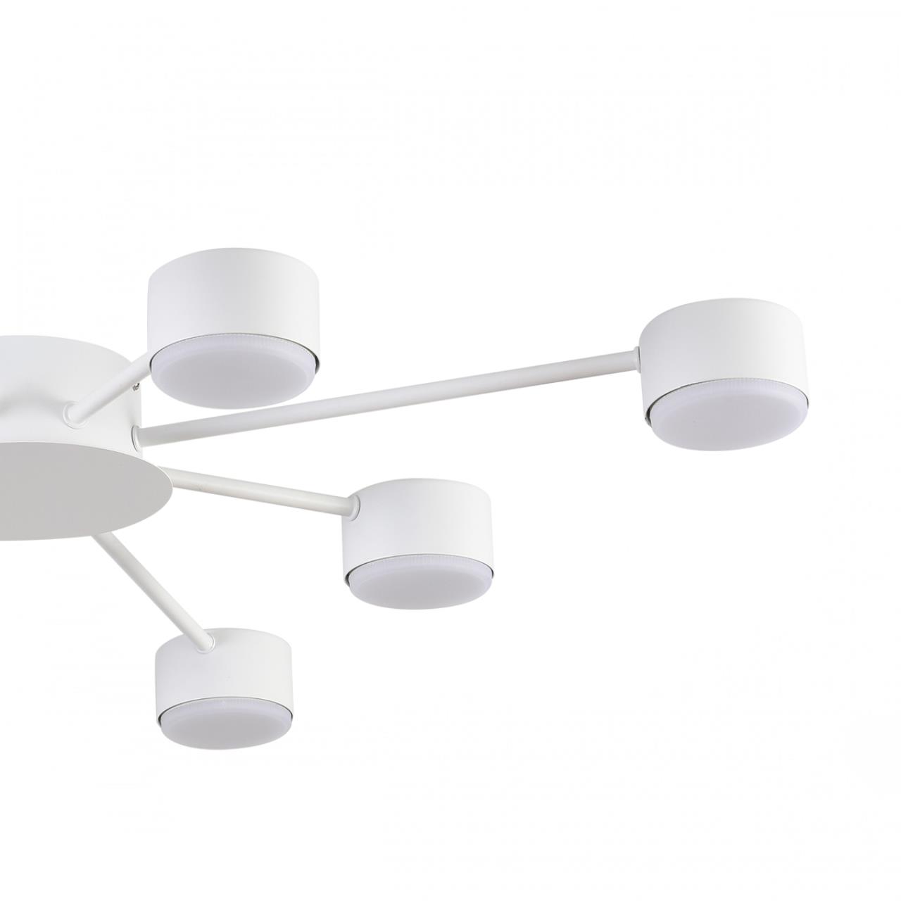 Люстра потолочная Lumion TORINA 8343/8C Люстра потолочная Lumion TORINA 8343/8C