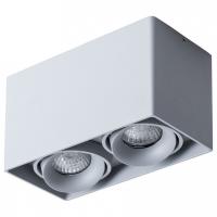 Светильник точечный потолочный Arte Lamp Pictor A5654PL-2GY