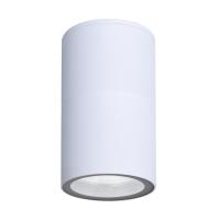 Уличный потолочный светильник Arte Lamp MISTERO A3302PF-1WH