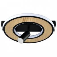 Спот светодиодный Lumion PINE 6572/24CL