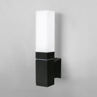 Уличный настенный светильник Elektrostandard 1534 TECHNO LED черный a052856