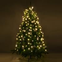 Гирлянда Eurosvet 200-003 200-003 теплый белый 0,45*1,5м IP20 a049838