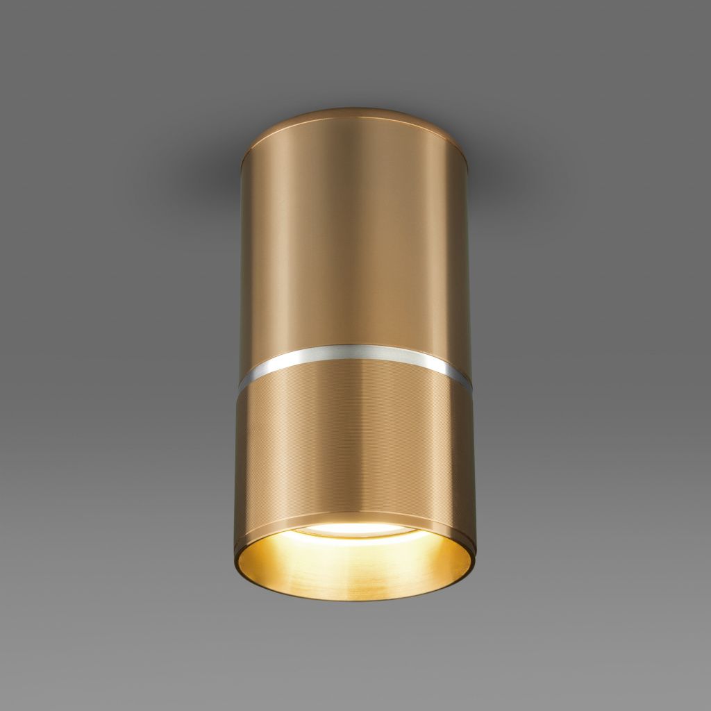 Потолочный светильник Elektrostandard DLN106 GU10 черный/золото a047732