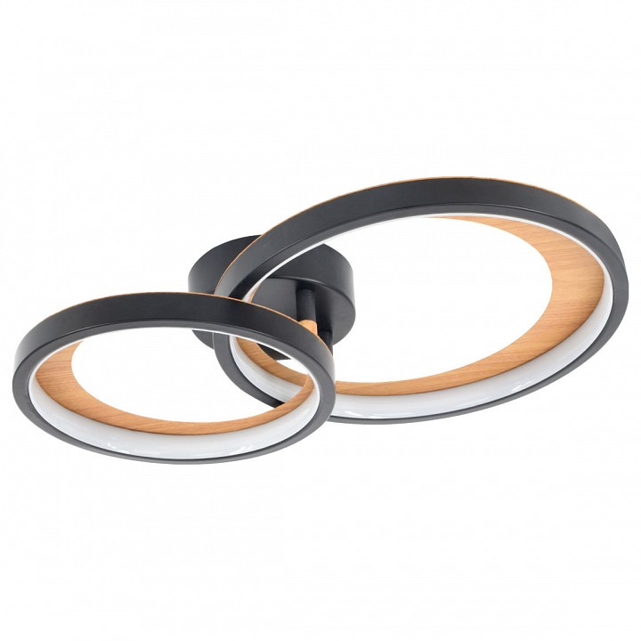 Светильник потолочный светодиодный Escada Callisto 10265/2LED Светильник потолочный светодиодный Escada Callisto 10265/2LED