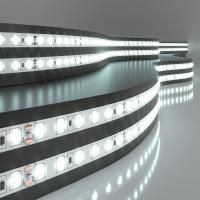 Светодиодная лента Elektrostandard 24V 120Led 9,6W IP20 холодный белый, 5м a052961