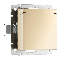 Розетка с заземлением, с защитной крышкой и шторками N шампань Werkel W1171211 a069581