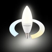 Лампа светодиодная E14 7Вт 3300-6500K 220V Elektrostandard Smart BLE2779 a071005