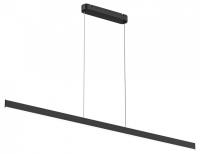 Светильник подвесной светодиодный Denkirs RAYLINE DK6733-BK