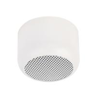 Светильник точечный потолочный Feron 48399