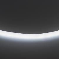 Светодиодная лента Lightstar Neoled 430204