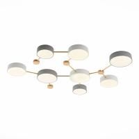 Потолочный светодиодный светильник Evoluce Dossena SLE600102-08