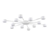 Светильник потолочный Lumion TORINA 8343/12C