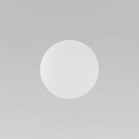 Светильник настенно-потолочный TK Lighting Luna 6009 Luna White a065353