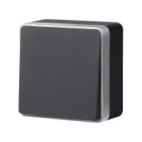 Выключатель одноклавишный Werkel Gallant (черный с серебром) W5010034 a051160