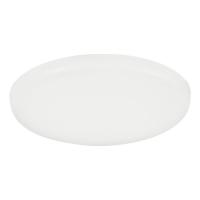 Светильник настенно-потолочный светодиодный Eglo RAPITA 900963