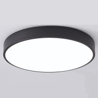 Светильник потолочный светодиодный TopDecor Union P2 12