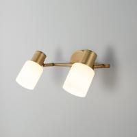 Спот Eurosvet Corso 20089/2 бронза a049414