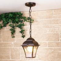 Уличный подвесной светильник Elektrostandard Apus H GL 1009H черное золото a043115