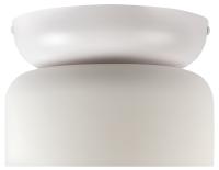 Светильник потолочный светодиодный Loft IT Totem 10466 Milky white