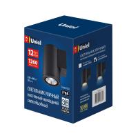 Уличный архитектурный светодиодный светильник Uniel ULU-S21С-12W/6400K IP65 BLACK (010846)