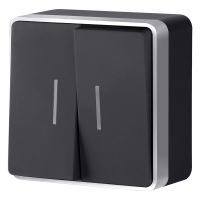 Выключатель двухклавишный с подсветкой Werkel Gallant (черный с серебром) W5020134 a051144