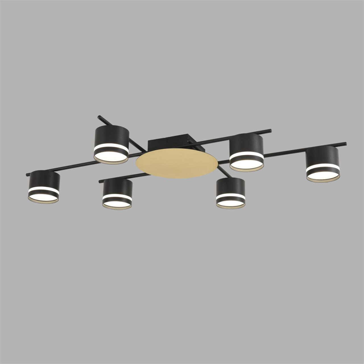 Светильник потолочный Lumion BENUA 8304/6C Светильник потолочный Lumion BENUA 8304/6C