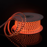 Светодиодная лента Elektrostandard 220V 11W 60Led мульти, 50 м a053641