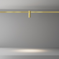 Трековый магнитный светодиодный светильник  Maytoni Flarity Focus Led TR143-1-5W3K-W-BS