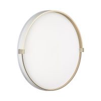 Светильник настенно-потолочный светодиодный Sonex OLIDI WHITE 7646/ELN