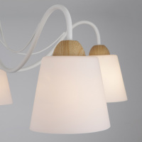 Потолочная люстра Eurosvet Betty 70062/5 белый 00000081856