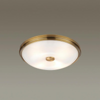 Настенно-потолочный светильник Odeon Light Pelow 4956/4