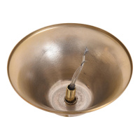 Люстра подвесная Lumion SHELLA 8386/6