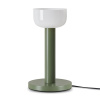 Настольная лампа светодиодная Freya Barries FR6185TL-L5GN Настольная лампа светодиодная Freya Barries FR6185TL-L5GN