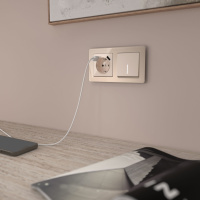 Выключатель одноклавишный с подсветкой Werkel айвори W1110143