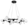 Люстра подвесная Lightstar Ceramo BW 799097
