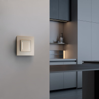 Сенсорный выключатель двухклавишный с подсветкой Werkel шампань W4522011